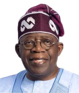 Tinubu nominates ex-INEC chair, Fani-Kayode, Omokri, Ugwuanyi, Ajimobi,…