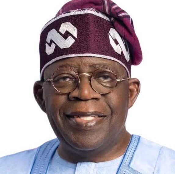 Tinubu nominates ex-INEC chair, Fani-Kayode, Omokri, Ugwuanyi, Ajimobi, Pedro, Jimoh Ibrahim as ambassadors