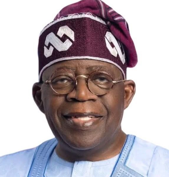 Tinubu nominates ex-INEC chair, Fani-Kayode, Omokri, Ugwuanyi, Ajimobi,&hellip;
