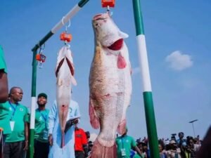 Biggest Catch at Nwonyo Fishing Festival Smiles Home&hellip;